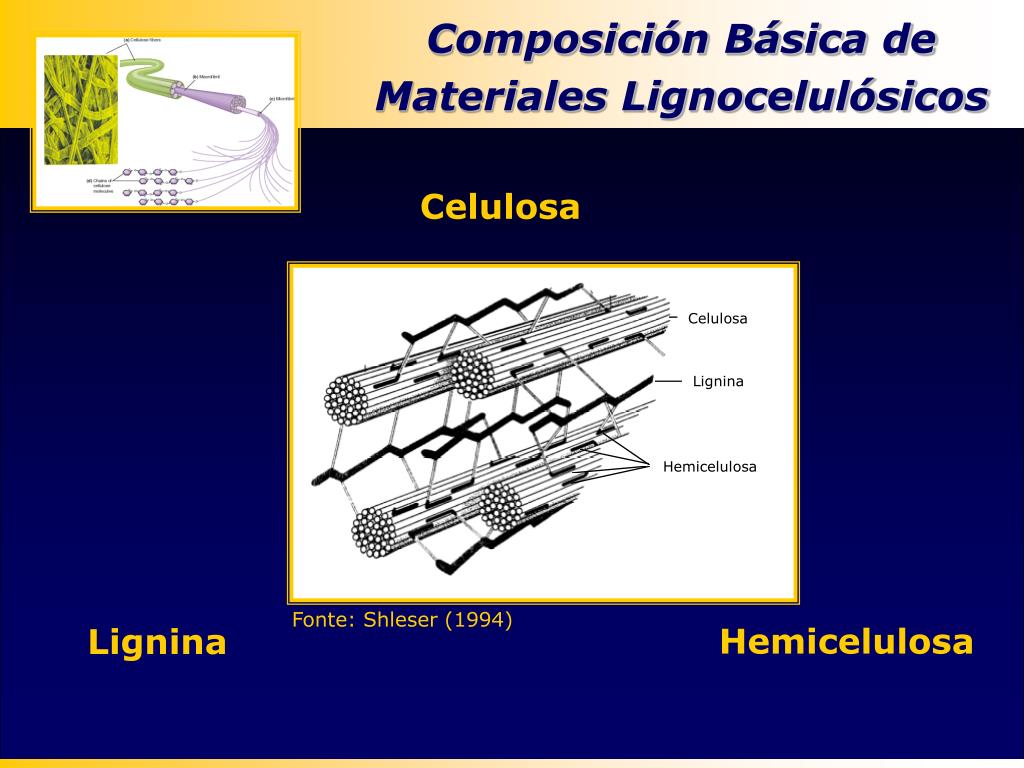 PPT Avances en Biotecnología de Hemicelulosa para Producción de