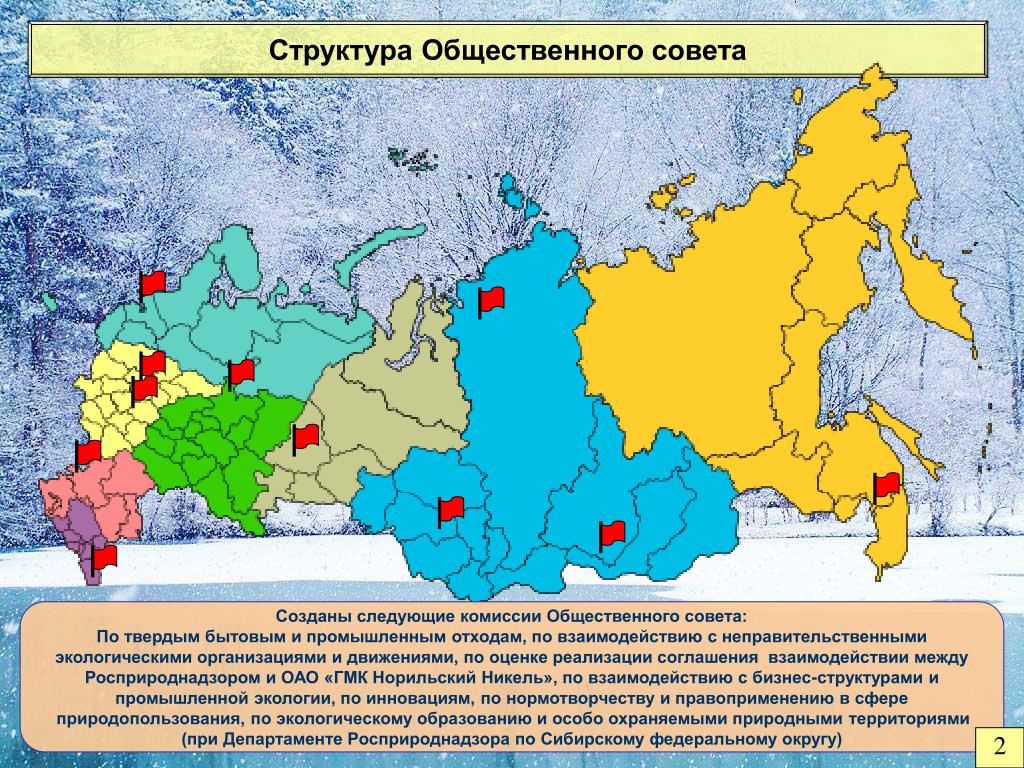 Состав общественных движений. Россия в 2008-2011 гг.