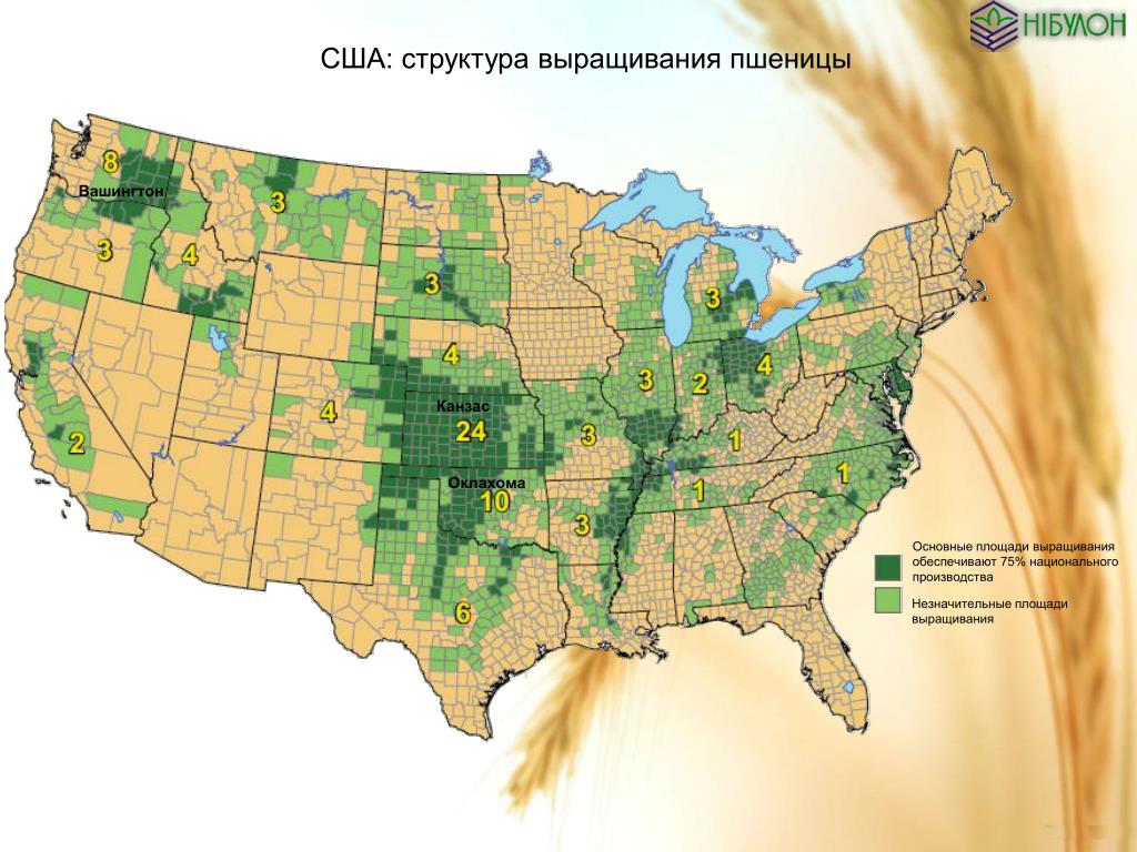 Пшеничные штаты. Сельское хозяйство США карта. Сельскохозяйственные районы США. Сельскохозяйственные регионы США. Районы США.