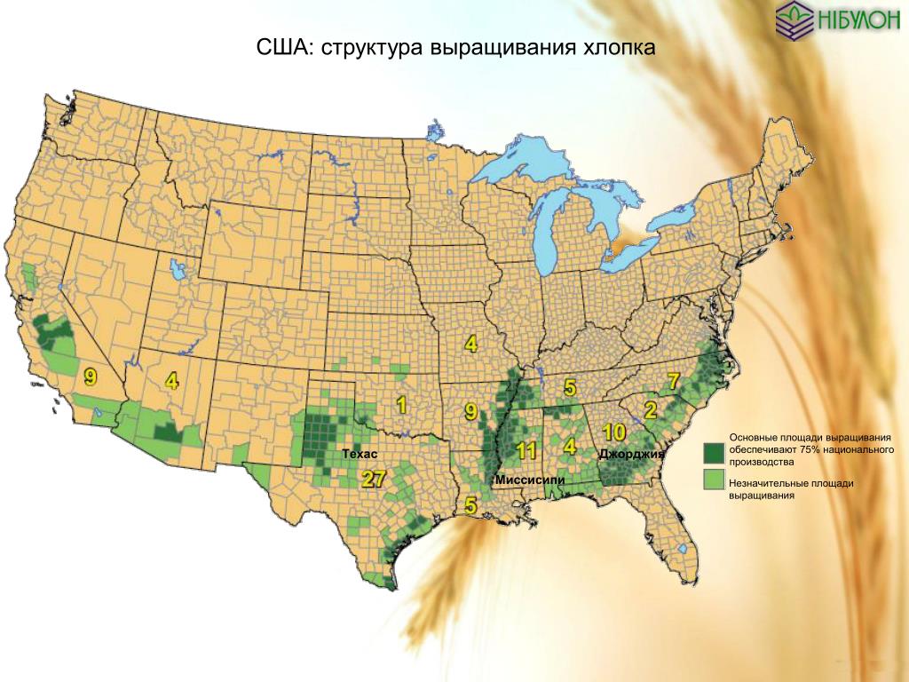 Главные сельскохозяйственные районы сша. Районы выращивания хлопчатника. Основные сельскохозяйственные культуры выращиваемые в США. Культуры выращивающие в США. Карта выращивания хлопка.