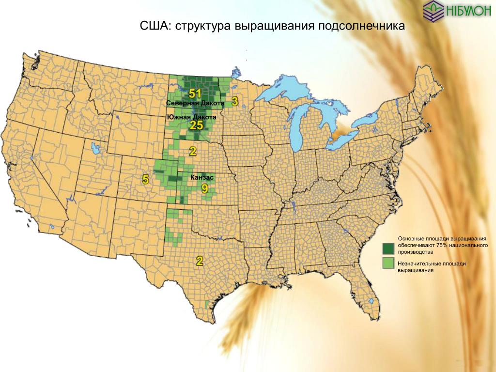 Главные сельскохозяйственные районы сша. Сельскохозяйственные культуры США И районы возделывания. Районы посевов хлопчатника в США. Карта выращивания хлопка. Хлопчатник где выращивают на карте.