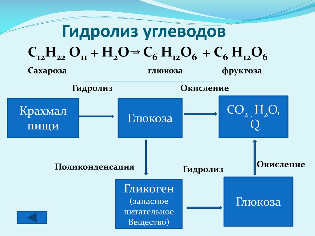 Сахарозу подвергните гидролизу. Гидролиз углеводов схема. C12h22o11 h2o + Глюкоза. Гидролиз Глюкозы. Гидролиз крахмала Глюкоза.