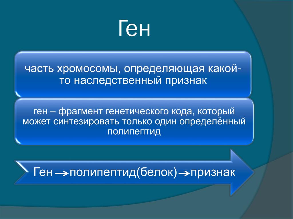 Ген белок признак. Кодирование это в биологии. Признаки фрагмента.