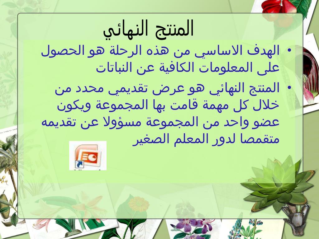 PPT - رحلة افتراضية PowerPoint Presentation, free download - ID:5940913