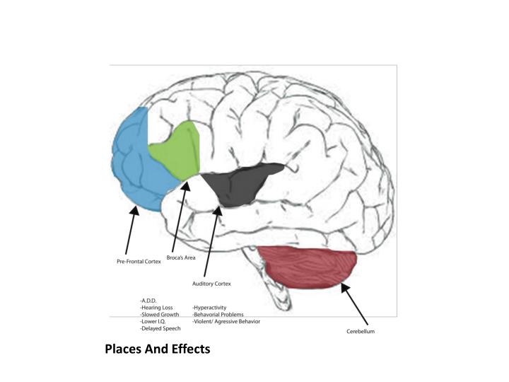PPT The Effects Of Lead Poisoning In The Brain PowerPoint