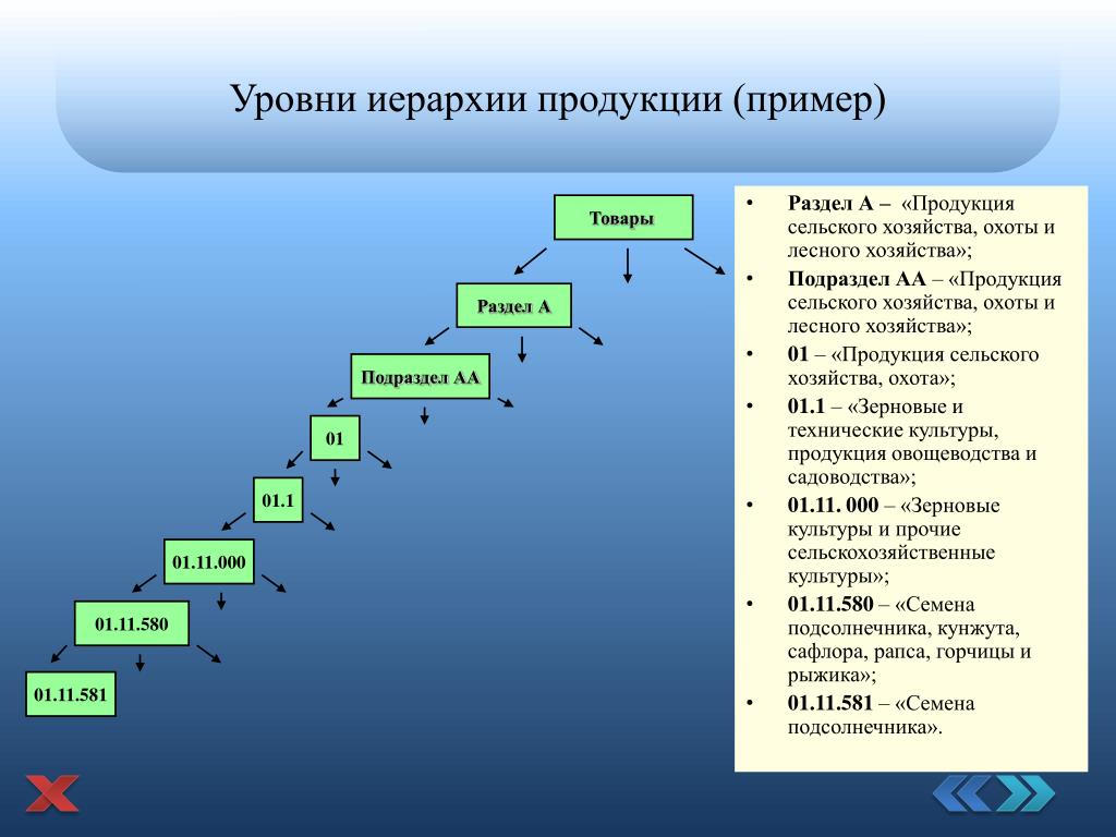 Уровень каталог. Уровни иерархии. Примеры уровней иерархии. Иерархические уровни. Иерархический товар примеры.