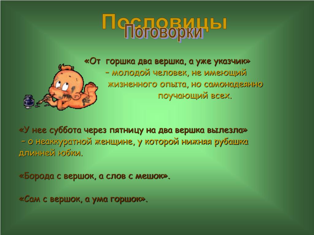 От горшка два вершка: как стать суккулентоводом и полюбить толстянковых