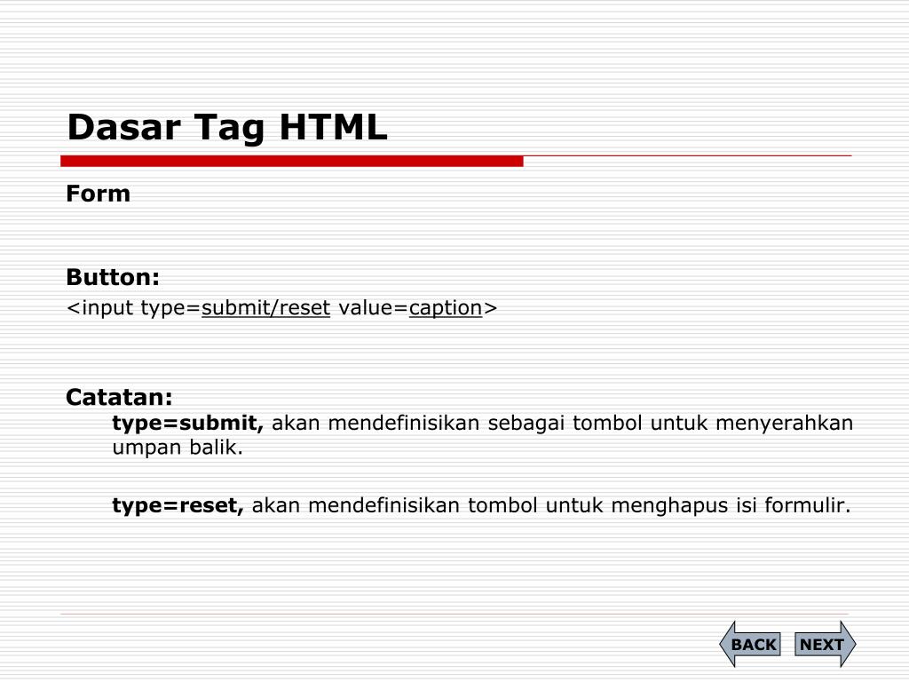 Form html type. Tag form html. Тег button в html. Button fill the form. Buttons and forms.