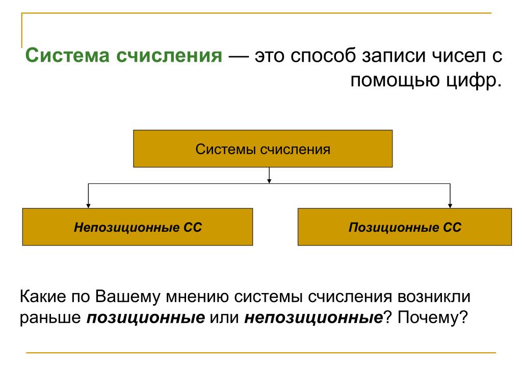 Система мнений. Классификация систем счисления. Системы счисления делятся на. Системы счисления теория. Цель системы счисления.