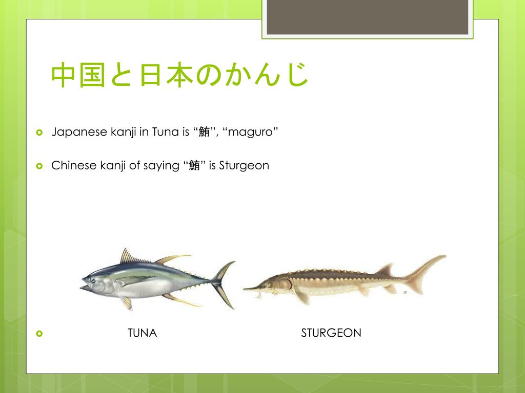 Ppt 日本人の知らない日本語 Powerpoint Presentation Free Download Id