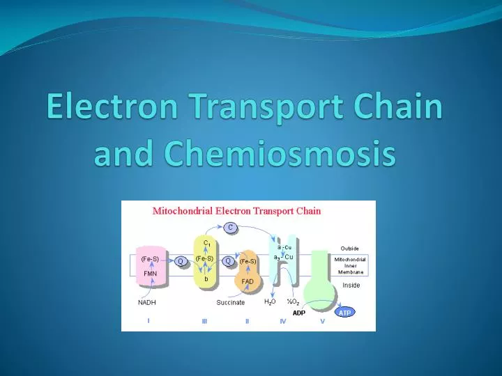 chemosynthesis is the same as chemiosmosis Define chemiosynthesis chemiosynthesis synonyms, chemiosynthesis pronunciation, chemiosynthesis translation, english dictionary definition of chemiosynthesis n the synthesis of organic compounds by certain bacteria, especially in deep-sea hydrothermal vents, using energy obtained from the chemical. chemosynthesis is the same as chemiosmosis Define chemiosynthesis chemiosynthesis synonyms, chemiosynthesis pronunciation, chemiosynthesis translation, english dictionary definition of chemiosynthesis n the synthesis of organic compounds by certain bacteria, especially in deep-sea hydrothermal vents, using energy obtained from the chemical.