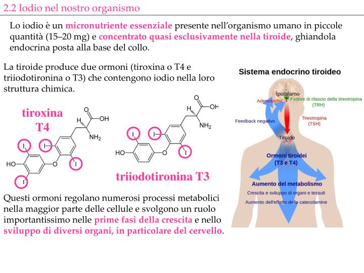PPT Sale marino, salgemma, sale da cucina, sale iodurato, sale iodato