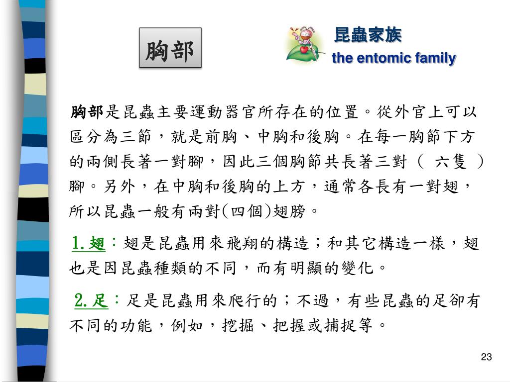 Ppt 昆蟲是什麼 Powerpoint Presentation Free Download Id Ppt 昆蟲是什麼 Powerpoint Presentation Free Download Id