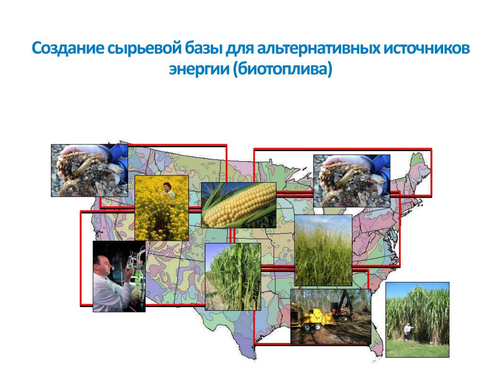 Развитие сырьевой базы. Альтернативные источники минерального сырья. Сырьевая база биотоплива карта. Сырьевая база Hefa технологии.