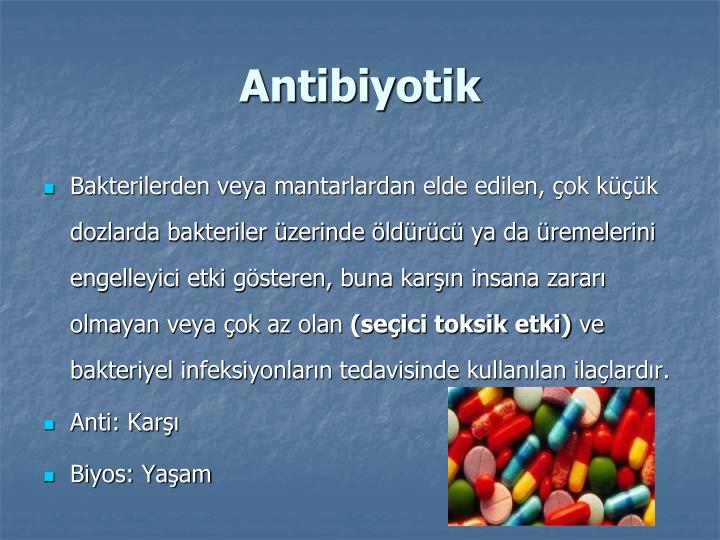 Kabak: kullanışlı özellikleri ve kontrendikasyonları 19