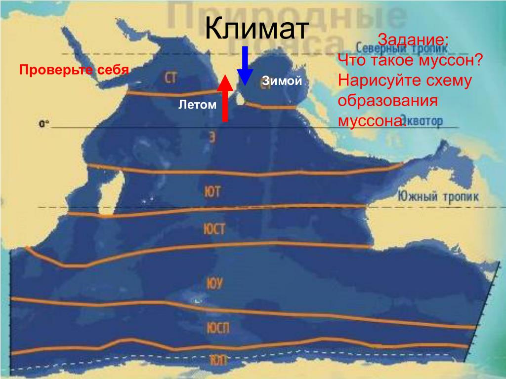 Тихий океан какой климат. Климатическая карта индийского океана. Климат индийского океана карта. Природные пояса индийского океана. Климат индийскогоокенана.