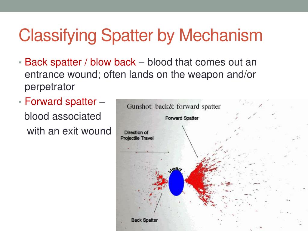PPT - Blood Spatter Pt 2: Projected Blood PowerPoint Presentation, free