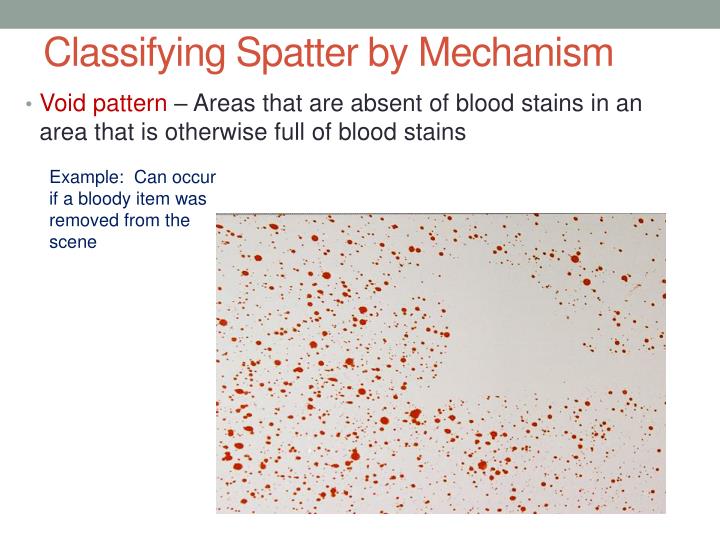 PPT - Blood Spatter Pt 2: Projected Blood PowerPoint Presentation - ID