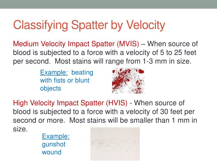 PPT - Blood Spatter Pt 2: Projected Blood PowerPoint Presentation - ID
