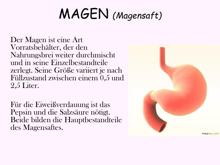 Aus Was Besteht Der Magensaft www.slideserve.com
