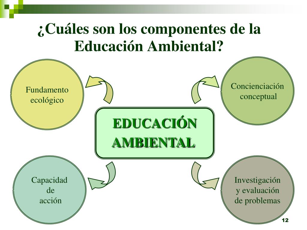 Cuales Son Los Elementos De La Educacion Ambiental