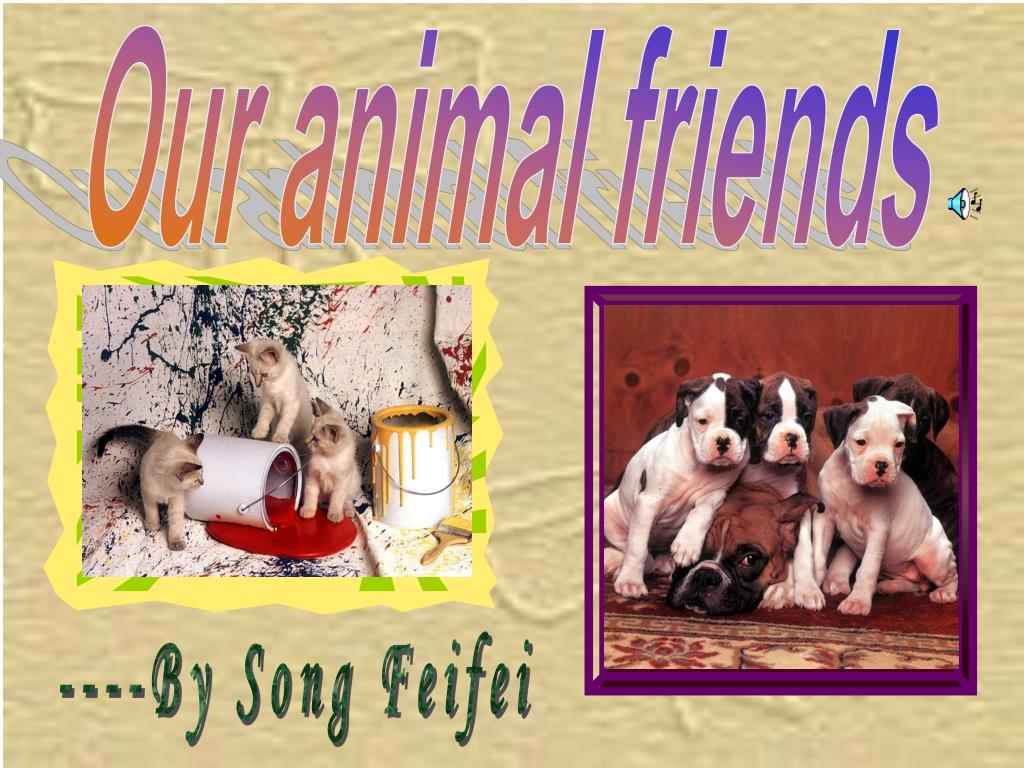 PPT - Our animal friends PowerPoint Presentation, free download - ID:5959174