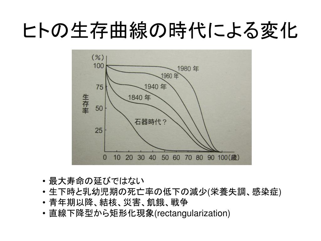 Ppt 老化 加齢 Powerpoint Presentation Free Download Id 5960205