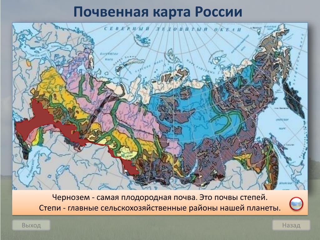В какой зоне наиболее плодородные почвы. Карта плодородия почв России. Типы почв России карта. Карты карта почв России. Плодородные почвы России на карте.