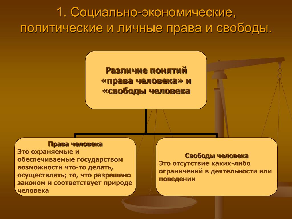 Три примера политических прав российских граждан