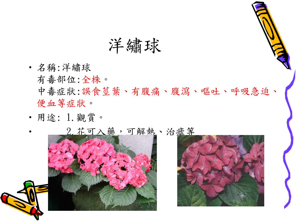 Ppt 校園有毒植物powerpoint Presentation Free Download Id Ppt 校園有毒植物powerpoint Presentation Free Download Id