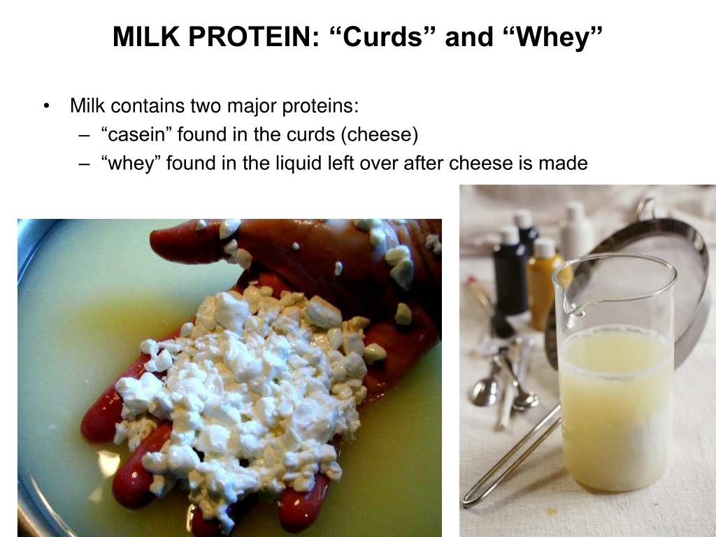 PPT Protein Structure PowerPoint Presentation, free download ID5962062