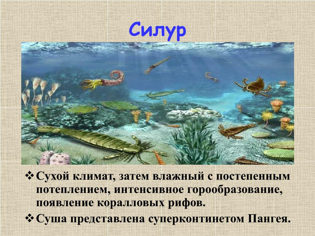 Ордовикский период особенности климата растения. Палеозой Эра Силур. Силурийский период палеозойской эры. Кембрийский ордовикский силурийский. Палеозойская Эра Ордовик.