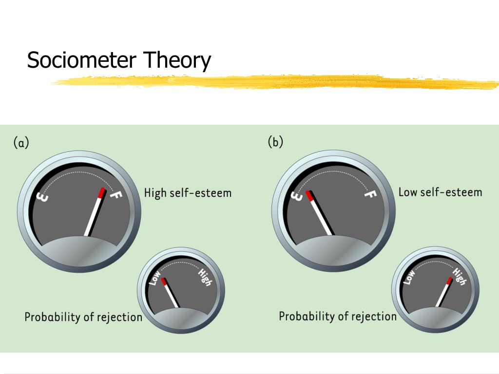 definition of sociometer hypothesis