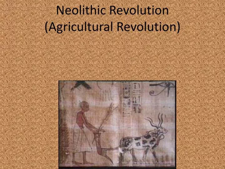 neolithic revolution agricultural revolution n.