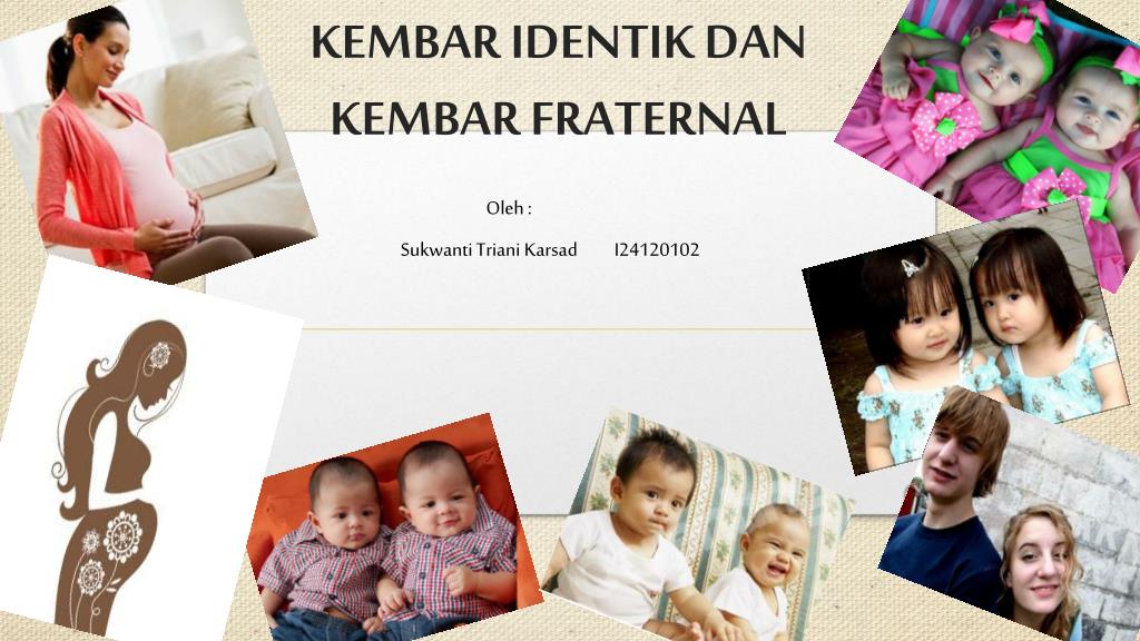 PPT - KEMBAR IDENTIK DAN KEMBAR FRATERNAL PowerPoint Presentation, Free ...