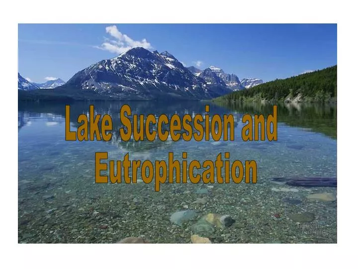 PPT - Lake Succession and PowerPoint Presentation, free download - ID ...