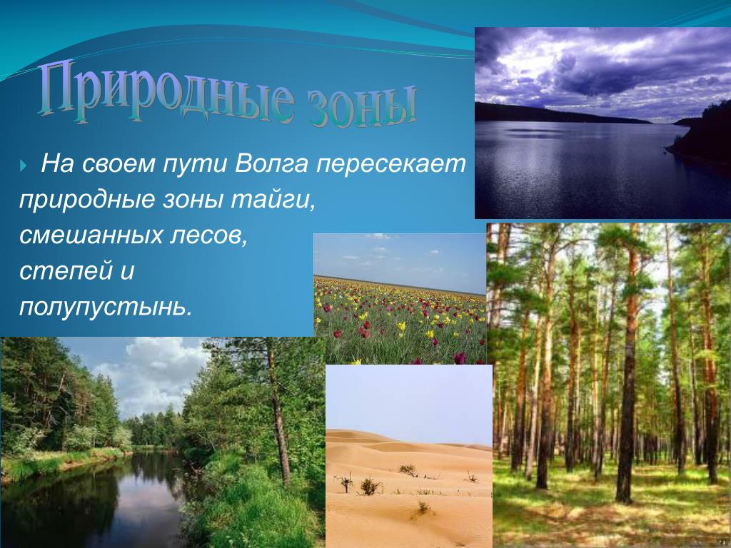 Река волга какая природная зона. Природные зоны Волги. Природные зоны реки Волга. Природная зона рядом рекой Волгой. Природные зоны бассейна Волги.