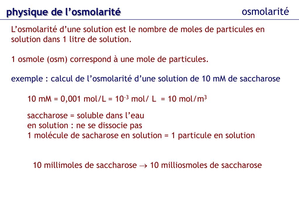 PPT - l'osmolarité PowerPoint Presentation, free download - ID:5968004