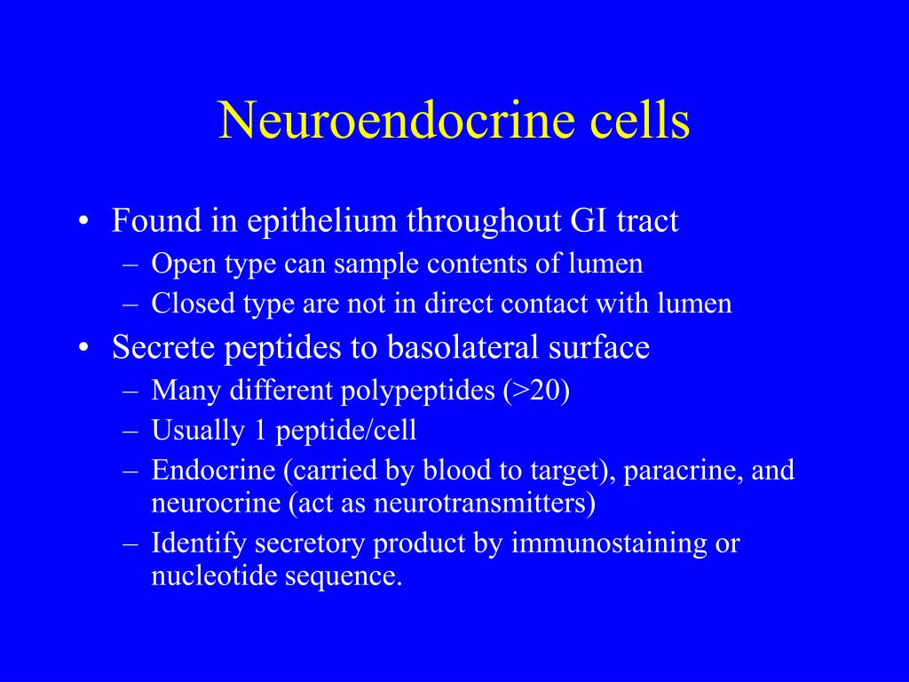 PPT - Regulation of gastrointestinal function PowerPoint Presentation