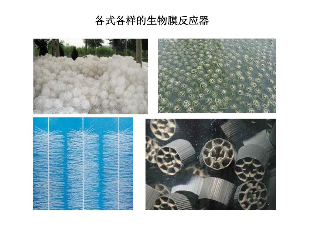 Ppt 第九章水环境污染控制与治理的生态工程及微生物学原理powerpoint Presentation Id Ppt 第九章水环境污染控制与治理的生态工程及微生物学原理powerpoint Presentation Id