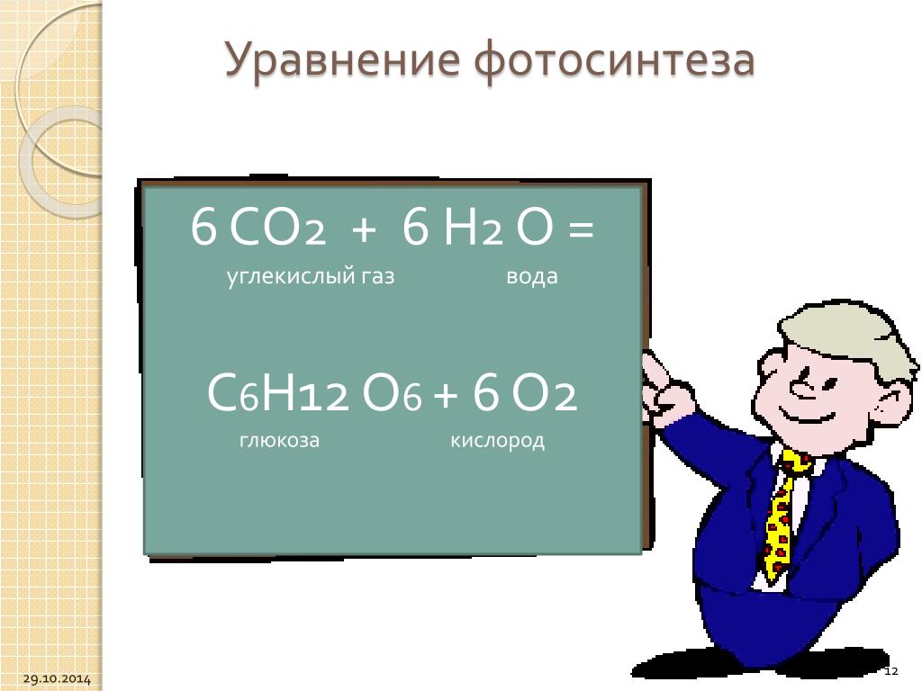 Углекислый Газ Купить Екатеринбург