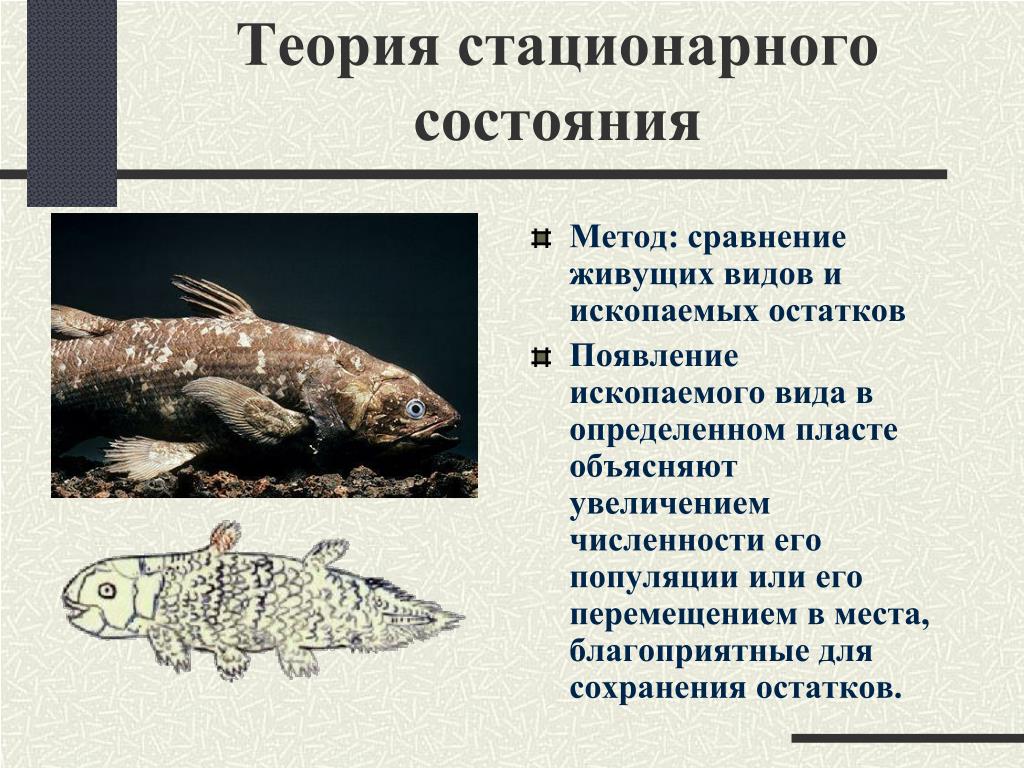 Теория стационарного состояния презентация