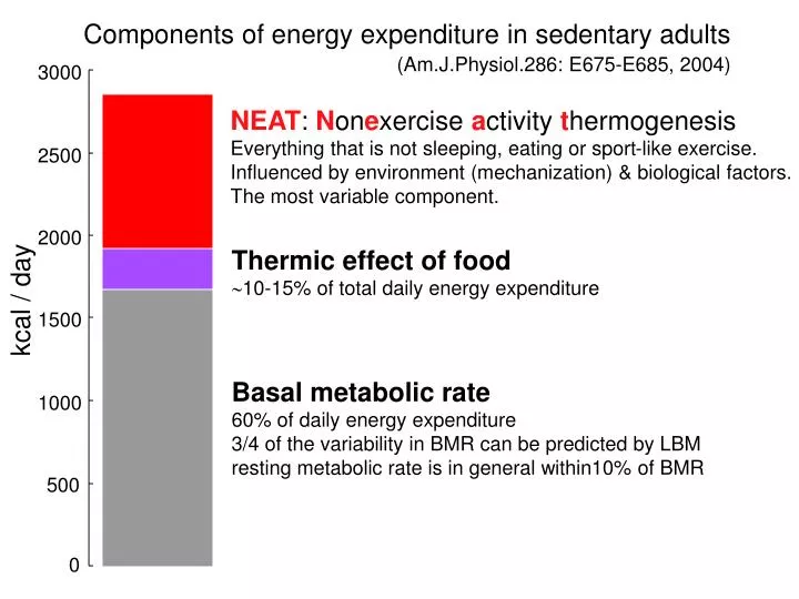 PPT - Components of energy expenditure in sedentary adults PowerPoint ...