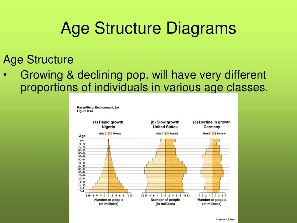 Age Structure Diagram Definition