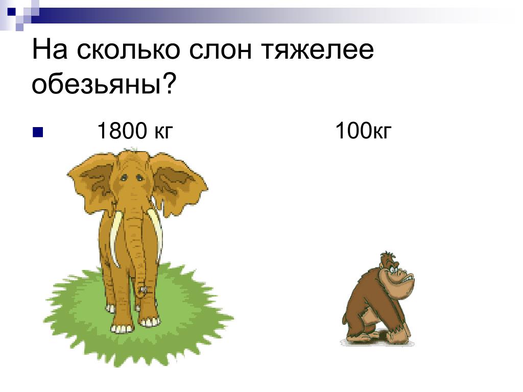 Слон сколько кг. Кто тяжелее слона. Слон был тяжёлым. Кто тяжелее чем слон. 1. Кто тяжелее слона?.