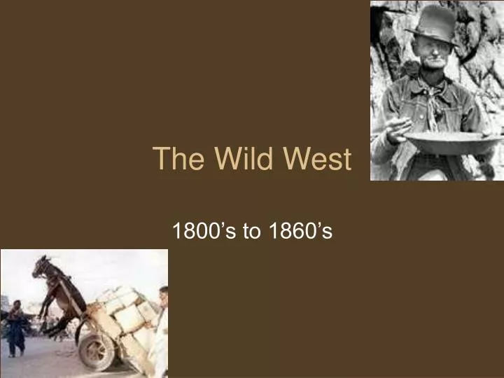 the wild west n.