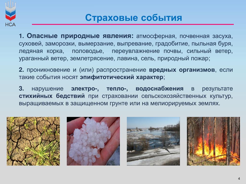 Какое событие природный. Опасные природные явления. Засуха опасное природное явление. Опасные природные явления для сельского хозяйства. Опасные природные явления весной в России.