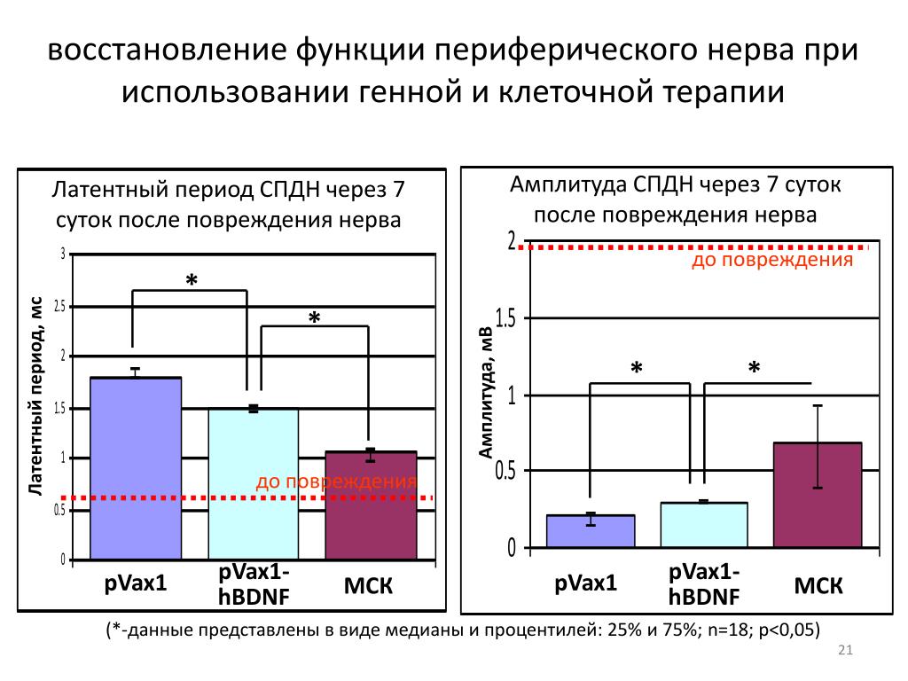 Период мс. Восстановление периферических нервов. Регенерация периферического нерва. Функция восстановления. Возможности регенерации периферических нервов.