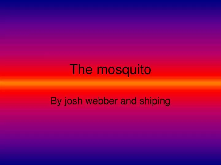 the mosquito n.