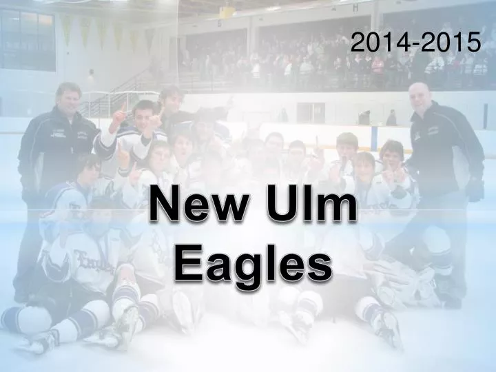 new ulm eagles n.